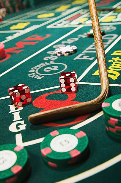 daduwin mobile app interface showing sportsbook, live-dealer, and slots categories on Android phone screen